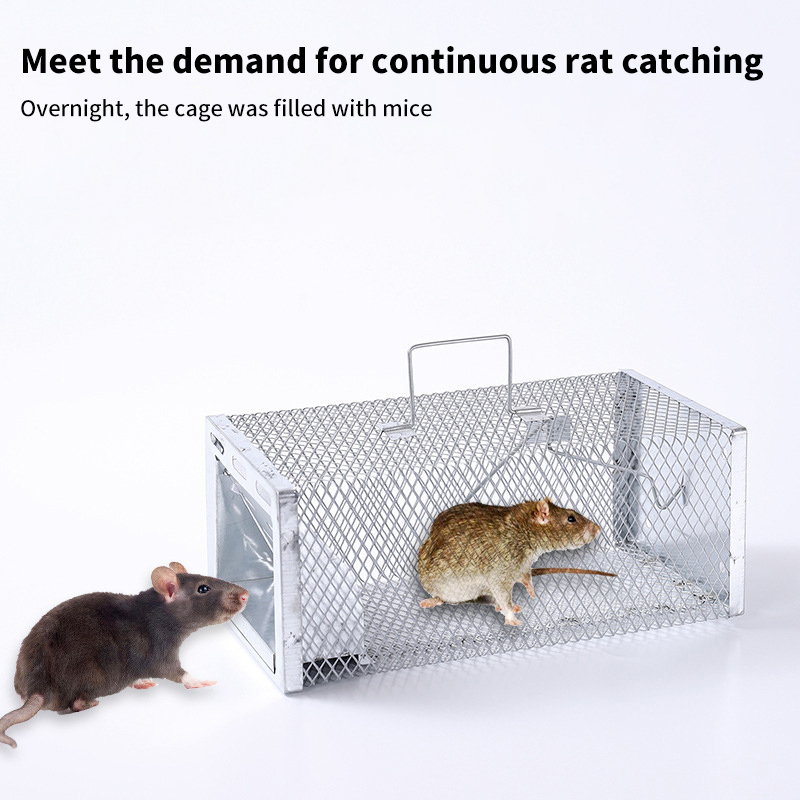 New Multi-Catch Rodent Mouse T - огляд і ціна Board Game Quacks